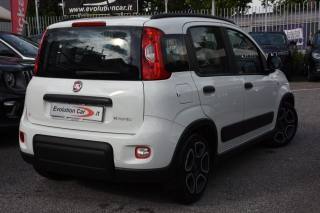 FIAT Panda usata, con Airbag Passeggero