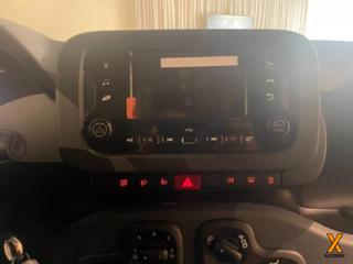 FIAT Panda usata 14