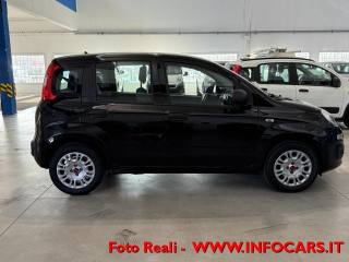 FIAT Panda usata 15