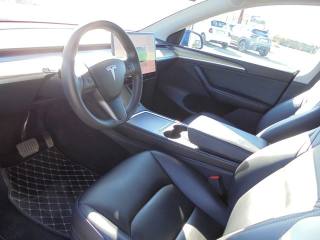 TESLA Model Y usata 23