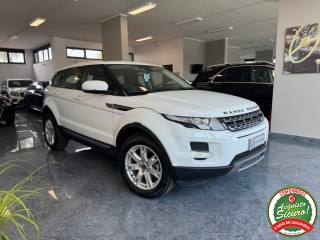 LAND ROVER Range Rover Evoque usata, con Airbag Passeggero