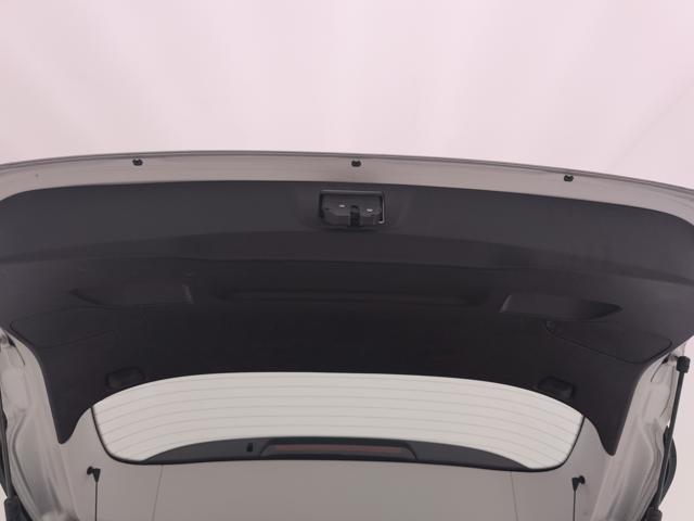 FIAT Tipo usata, con Autoradio digitale