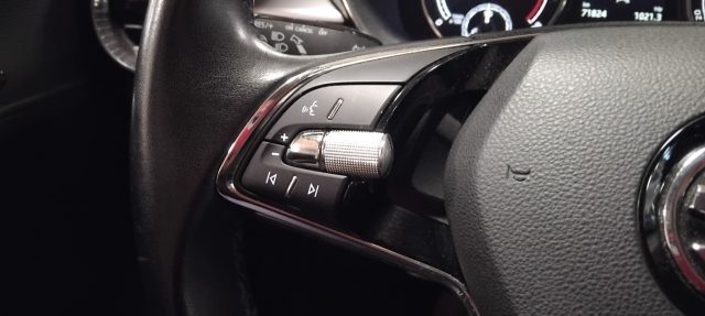 SKODA Fabia usata, con Airbag testa