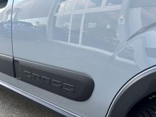 FIAT Panda Cross usata, con Alzacristalli elettrici