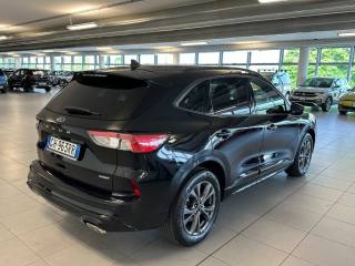 FORD Kuga usata, con Chiusura centralizzata