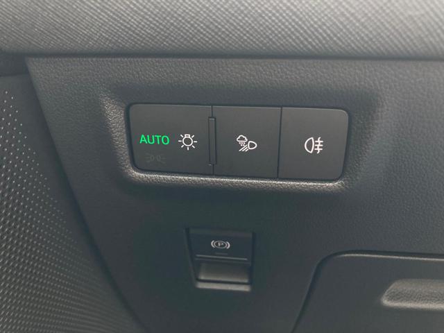 SKODA Kodiaq usata, con Park Distance Control