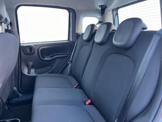 FIAT Panda Cross usata, con Alzacristalli elettrici