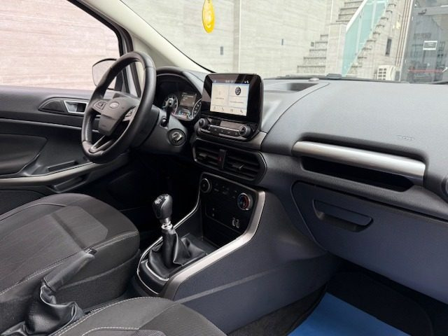 FORD EcoSport usata, con Fendinebbia