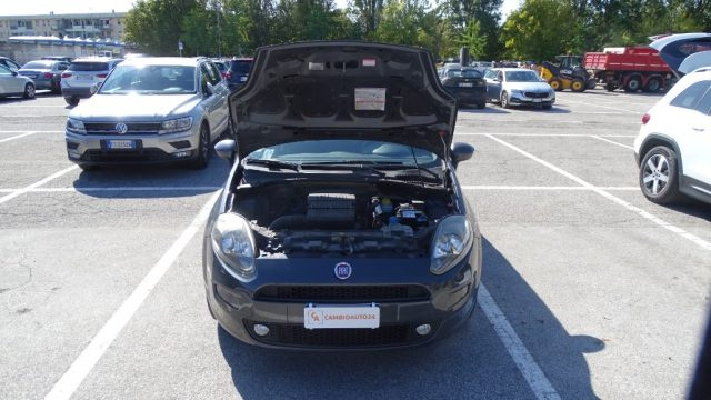FIAT Punto usata 113