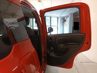 FIAT Panda Cross usata 50