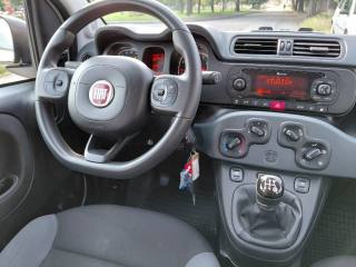 FIAT Panda usata, con Immobilizzatore elettronico