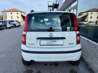 FIAT Panda usata, con Servosterzo