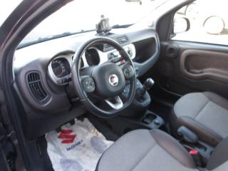 FIAT Panda usata, con Controllo trazione