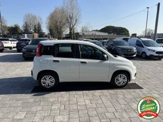FIAT Panda usata, con Climatizzatore