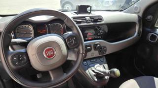 FIAT Panda usata, con Chiusura centralizzata