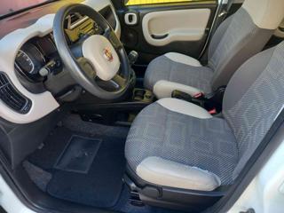 FIAT Panda usata 15