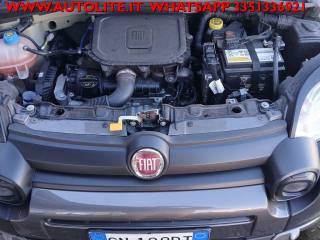 FIAT Panda Cross usata, con Specchietti laterali elettrici