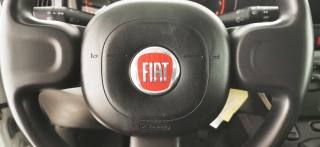 FIAT Panda usata 30