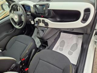 FIAT Pandina usata, con Cruise Control