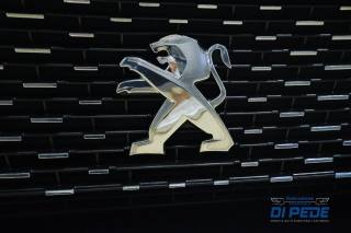PEUGEOT 3008 usata, con Fendinebbia