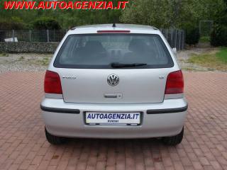 VOLKSWAGEN Polo usata 6