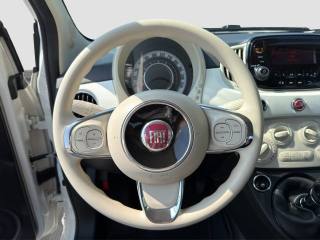 FIAT 500 usata 12