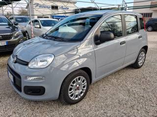 FIAT Panda 1.0 FireFly S&S Hybrid Easy