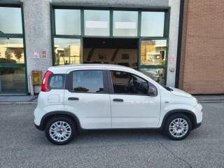 FIAT Panda usata, con Airbag