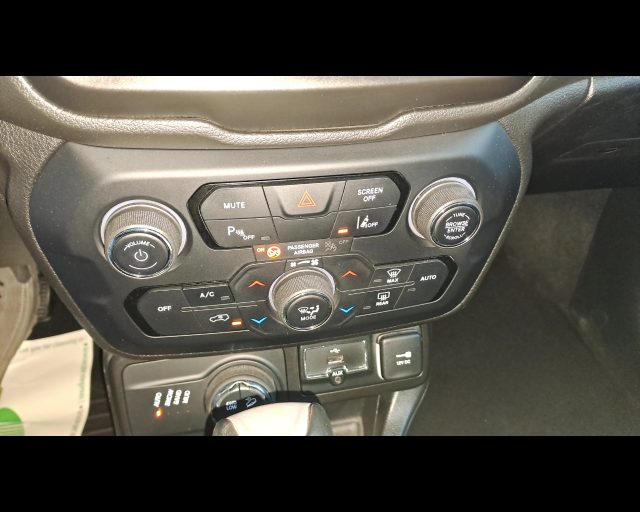 JEEP Renegade usata, con Volante in pelle