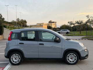 FIAT Panda usata, con Antifurto
