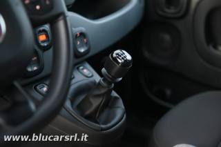 FIAT Panda usata 10