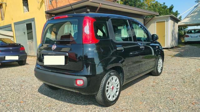 FIAT Panda usata 18