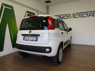 FIAT Panda usata, con Servosterzo