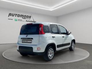 FIAT Panda usata 3