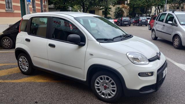 FIAT Panda usata, con Sedile posteriore sdoppiato