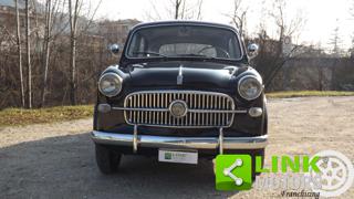 FIAT 1100 usata 5