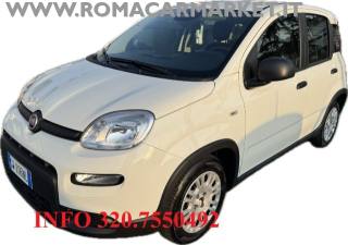FIAT Panda 1.0 FireFly S&S Hybrid PACK CITY AZIENDALE NO VINC