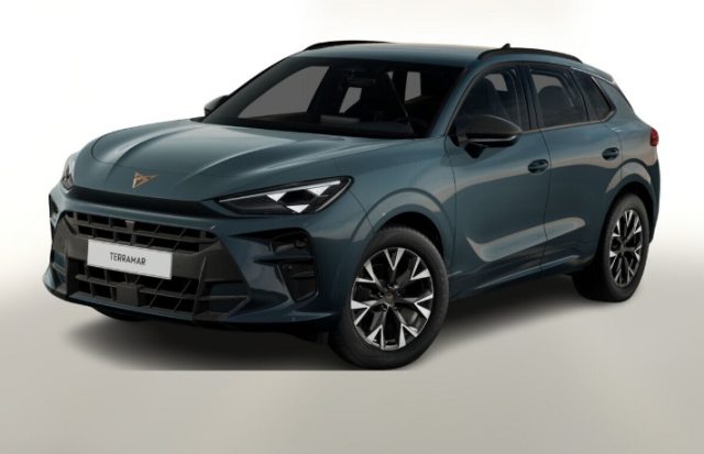 CUPRA Terramar usata, con Alzacristalli elettrici