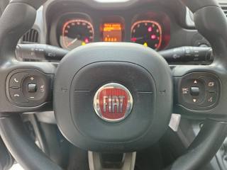 FIAT Panda usata, con Cronologia tagliandi