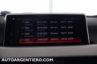 BMW X2 usata, con Autoradio digitale
