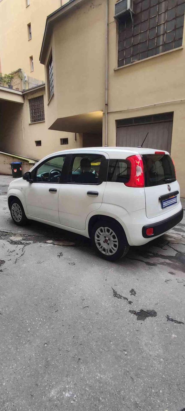 FIAT Panda usata, con Antifurto