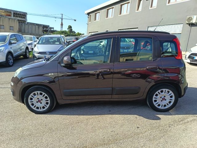 FIAT Panda usata 2