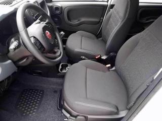 FIAT Panda usata, con Antifurto