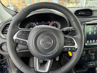 JEEP Renegade usata, con Cerchi in lega