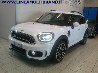 MINI Countryman usata, con Cronologia tagliandi