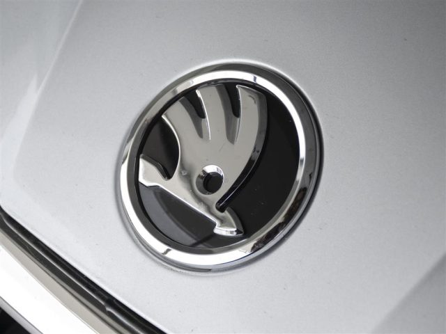 SKODA Fabia usata, con Controllo trazione