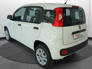 FIAT Panda usata 20