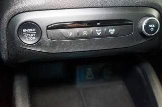 FORD Focus usata, con Hill holder