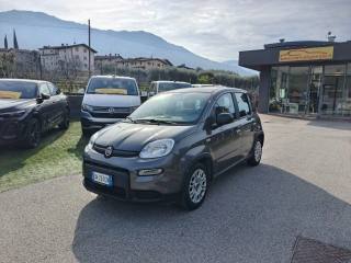 FIAT Panda 1.0 FireFly S&S Hybrid OK NEOPATENTATI-  -