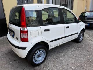 FIAT Panda usata, con Chiusura centralizzata